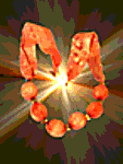 Designimage