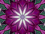 Designimage