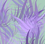 Designimage