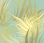 Designimage