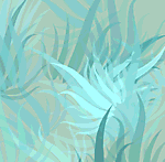 Designimage