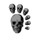 Designimage