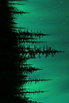 Designimage
