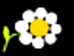 Designimage
