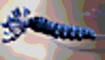 Designimage