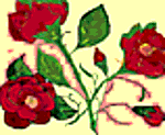 Designimage