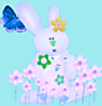 Designimage
