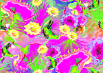 Designimage