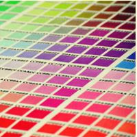 Foto vom Print der Farbpalette