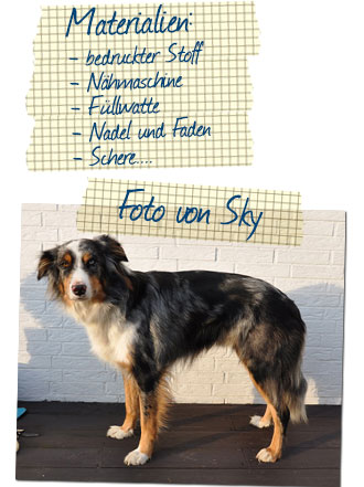 Zunächst braucht man ein Foto von seinem Hund in einer hohen Auflösung....