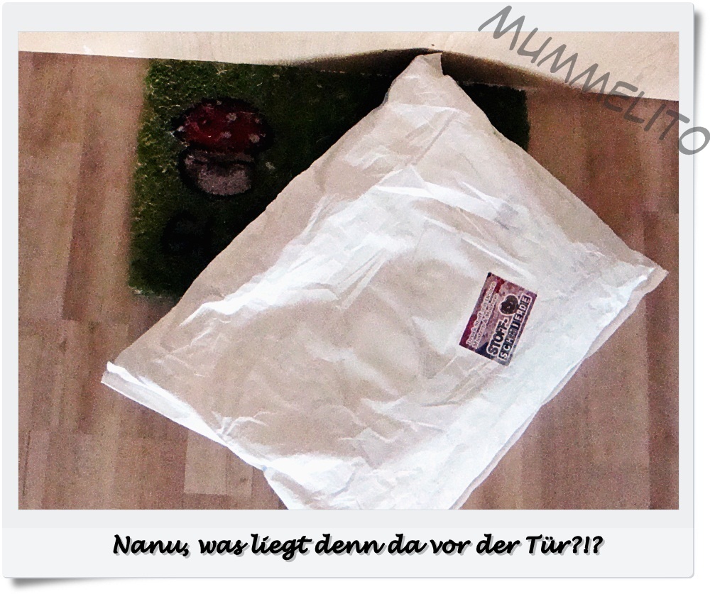 Nanu, was liegt denn da vor der Tür? Nanu, was liegt denn da vor der Tür?