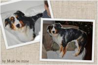 Bedruckter Stoff kreativ verarbeitet - hier im Bild - beigetragen von Ichx4