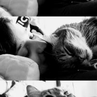 walking desaster's Bild