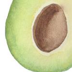 Vom Aquarell zum Avocado Kissen auf Blog.Stoff-Schmie.de