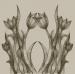 Design - gothic flower 00 - by RiniGini, read more about this textile design
