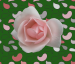 Design - Rose auf Paisley - by ruthjohanna, read more about this textile design