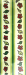 Design - Gruenstreifen - by Sebandan1210, read more about this textile design