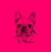 Design - French Bulldog Bolzplatzrocker Pink - by Bolzplatzrocker, read more about this textile design