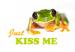 Design - Kiss me, Frog - by Wilma Stoffheimer, read more about this textile design