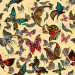 Design - Retro Schmetterlinge (gross) - by Stoff-Schmie.de, read more about this textile design
