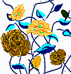 Designimage