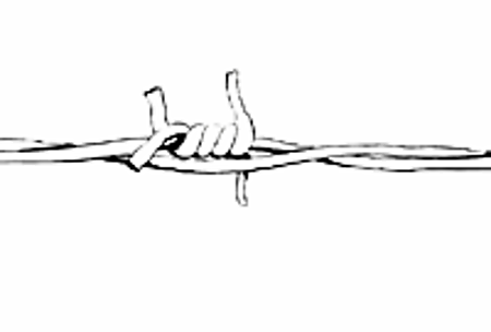 Vergrösserte Ansicht des Stoff-Designs.