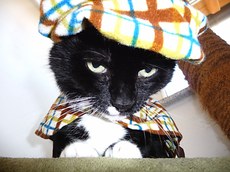 Vergrösserte Ansicht des Stoff-Designs.