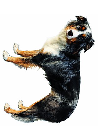 Vergrösserte Ansicht des Stoff-Designs.