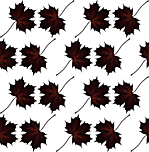 Designimage