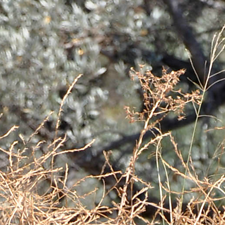 Zoomed in design view.