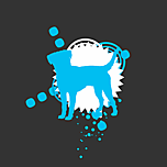 Designimage