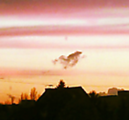 Vergrösserte Ansicht des Stoff-Designs.