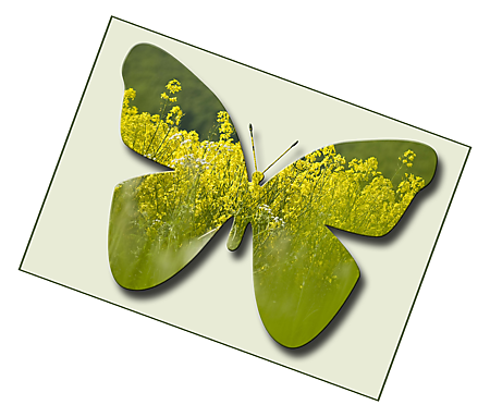 Zoomed in design view.