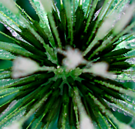 Vergrösserte Ansicht des Stoff-Designs.