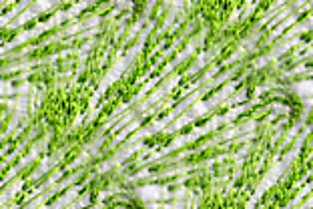 Vergrösserte Ansicht des Stoff-Designs.