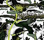Designimage