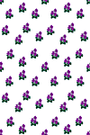 Designimage