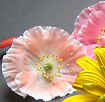 Designimage