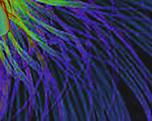 Designimage