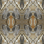 Designimage