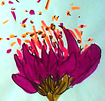 Designimage