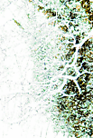 Designimage